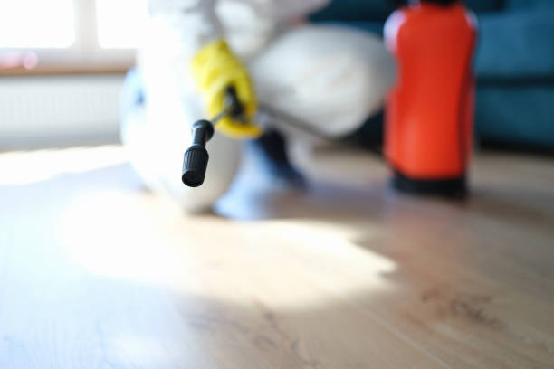 Best Commercial Mold Inspection  in Coopersburg, PA